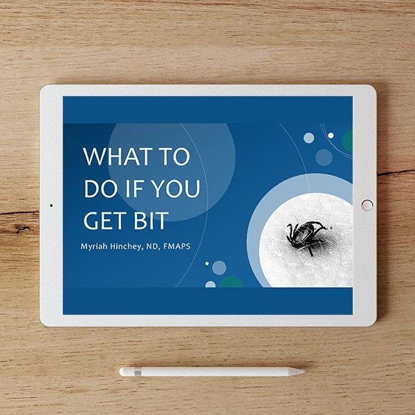 What to Do if You Get Bit